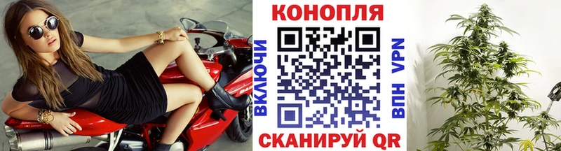 Где купить Бакал МАРИХУАНА  СОЛЬ  Гашиш 