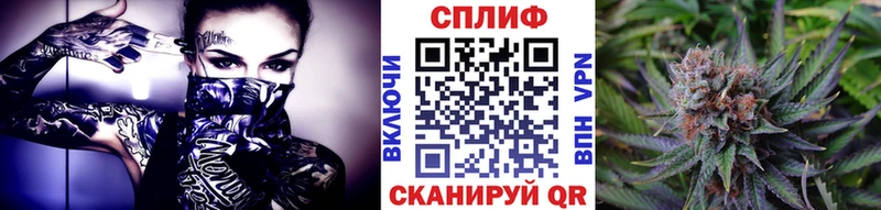 kraken зеркало  Бакал  МАРИХУАНА планчик 